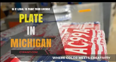Unveiling the Truth: Painting Your License Plate in Michigan - Legal or Not?