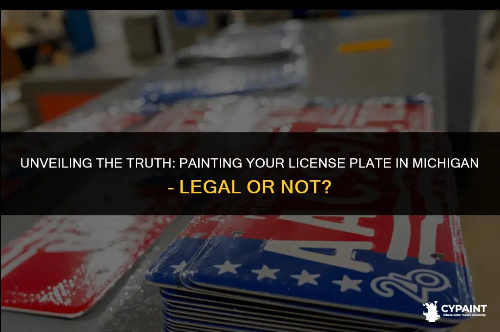 is it legal to paint your license plate in michigan