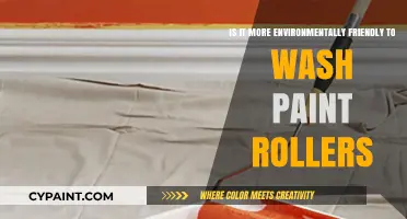 Washing Paint Rollers: Eco-Friendly or Wasteful?