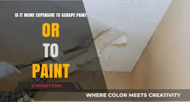 Cost Comparison: Scraping Paint vs. Painting - Which is More Expensive?