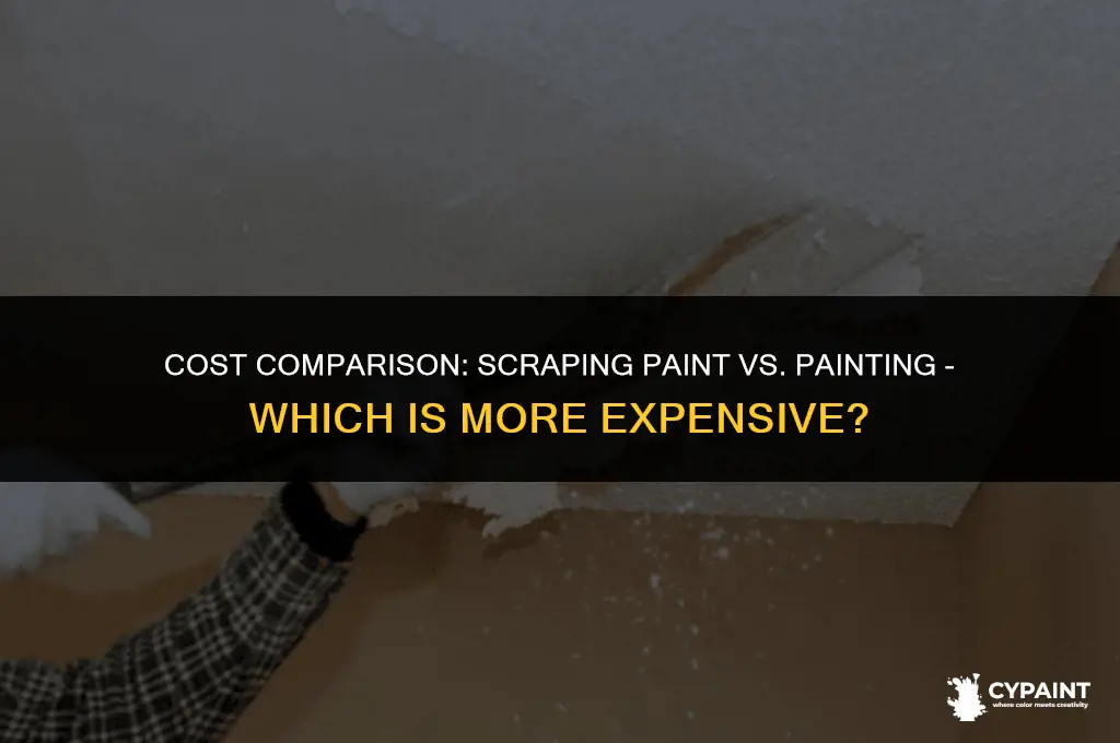 is it more expensive to scrape paint or to paint