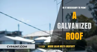 Painting Galvanized Roofs: Essential or Optional for Longevity and Aesthetics?