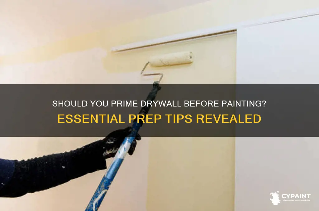 is it necessary to prime drywall before painting