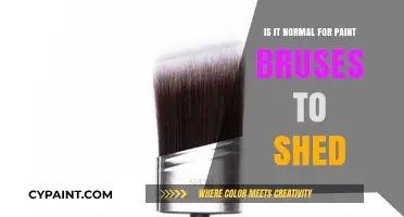 Is Paint Brush Shedding Normal? Understanding Brush Hair Loss