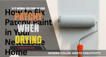 Unveiling the Truth: Is Patchy Paint a Normal Drying Phenomenon?