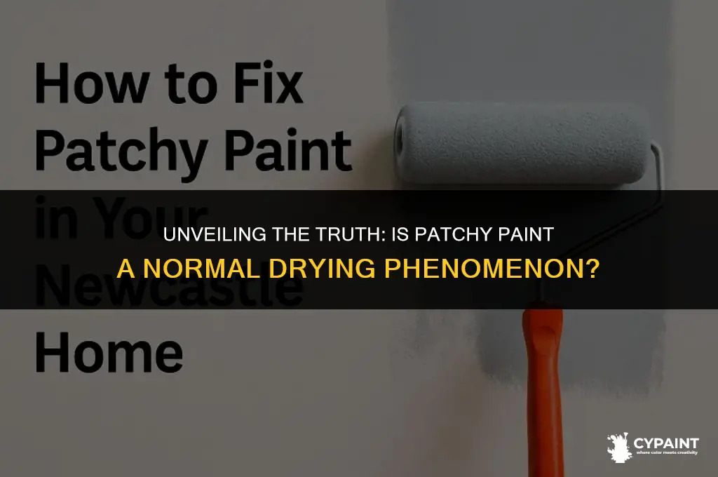 is it normal for paint to look patchy when drying
