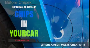 Car Paint Chips: Normal Wear and Tear or Not?