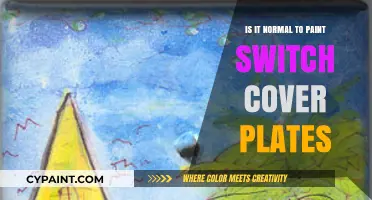 Painting Switch Cover Plates: A Normal DIY Trend or Not?