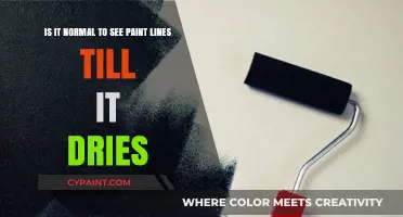 Unveiling the Mystery: Paint Lines Persistence Explained