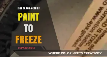 Chilly Hues: The Effects of Freezing on Paint Cans