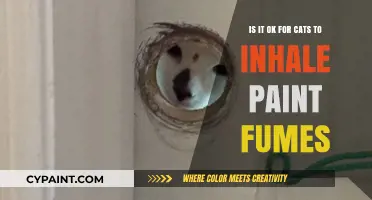 Paint Fumes: Are They Safe for Cats to Inhale?