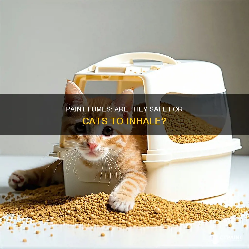 is it ok for cats to inhale paint fumes