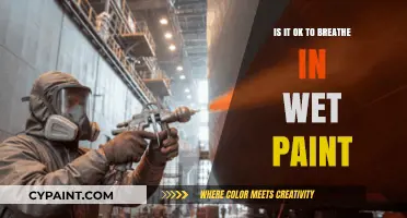 Is Breathing Wet Paint Safe? Health Risks Explained