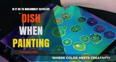 Disconnecting Satellite Dish While Painting: What You Need to Know