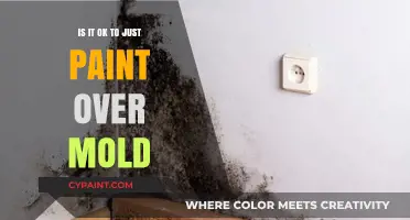 Painting Over Mold: A Quick Fix or Costly Mistake?