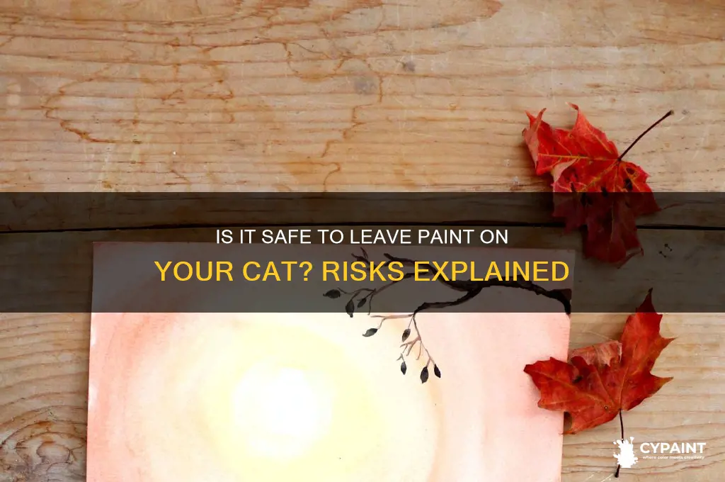 is it ok to leave paint on cat