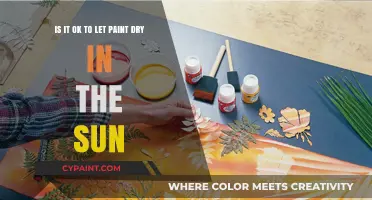 Sun-Drying Paint: A Risky Shortcut or a Brilliant Hack?