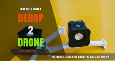 Bebop 2 Drone: To Paint or Not to Paint?