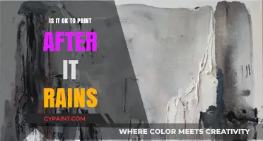 Painting After Rain: Tips for Perfect Results in Damp Conditions