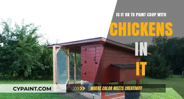 Safe Painting Practices for Chicken Coops: A Comprehensive Guide