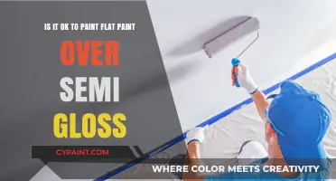 Revamping Your Walls: The Do's and Don'ts of Painting Flat Over Semi-Gloss