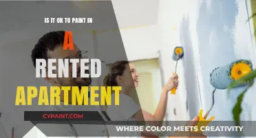 Should You Paint Your Rented Apartment?