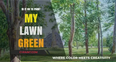 Is Painting Your Lawn Green a Good Idea? Pros and Cons