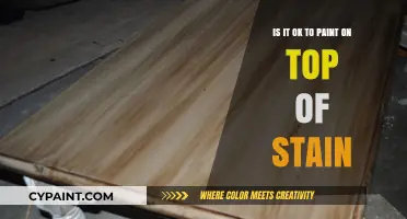 Should You Paint Over Stained Surfaces?