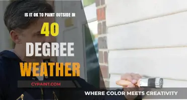Chilly Creativity: Painting Outdoors in 40 Degrees - Yes or No?