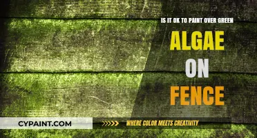 Reviving Your Fence: The Do's and Don'ts of Painting Over Green Algae
