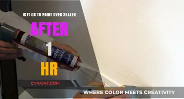 Painting Over Sealer: A Comprehensive Guide to Timing and Techniques