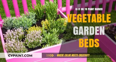 Painting Raised Vegetable Garden Beds: Pros, Cons, and Tips