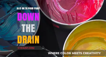 Proper Paint Disposal: Drain or No Drain?