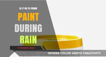 Painting in the Rain: Is Priming During Wet Weather Safe?