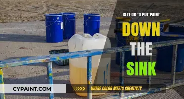 Properly Dispose of Paint: Don't Pour it Down the Sink