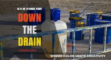 Proper Paint Disposal: Down the Drain or Not?