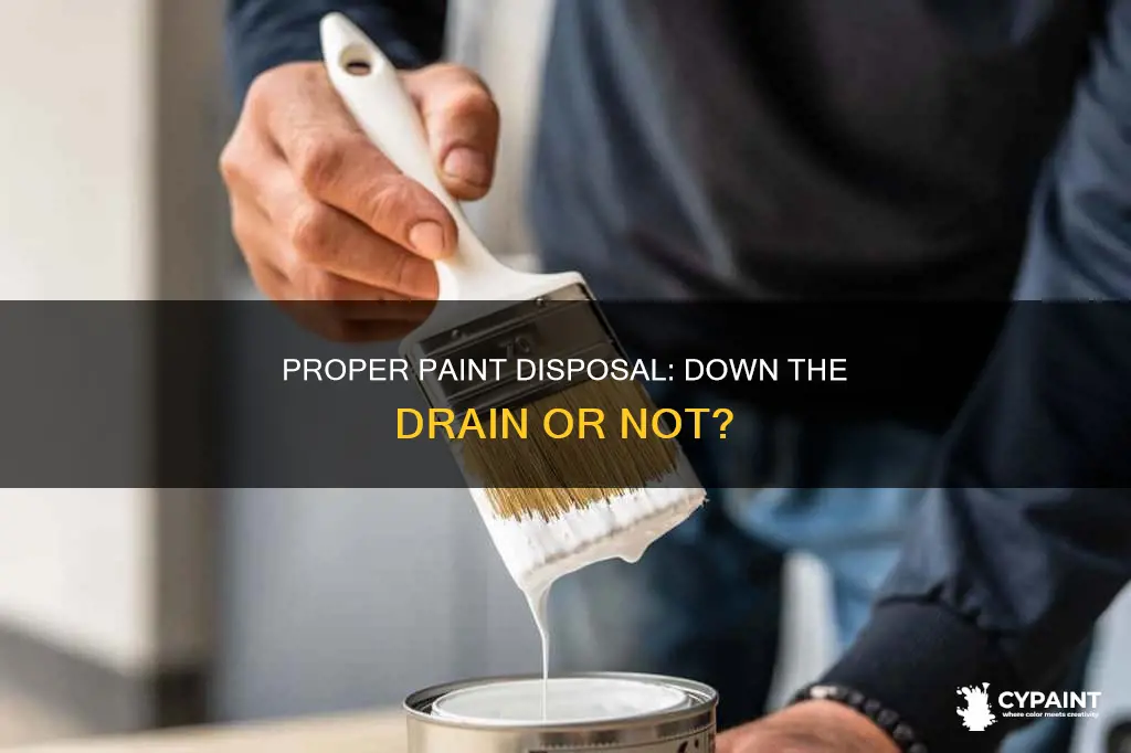 is it ok to rinse paint down the drain