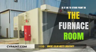 Safe Storage Solutions: Paint and Furnace Rooms Explained