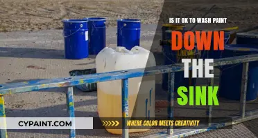 Proper Paint Disposal: Sink or Swim?