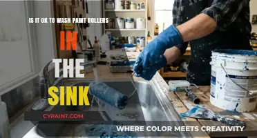 Sink or Swim: The Debate on Washing Paint Rollers in Your Kitchen Sink