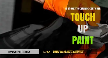 Reviving Your Ride: Ceramic Coating Over Touch-Up Paint?