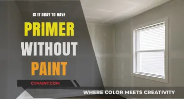 Primer Without Paint: Is It a Viable Option for Your Walls?