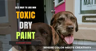 Should You Lick Dry Paint?