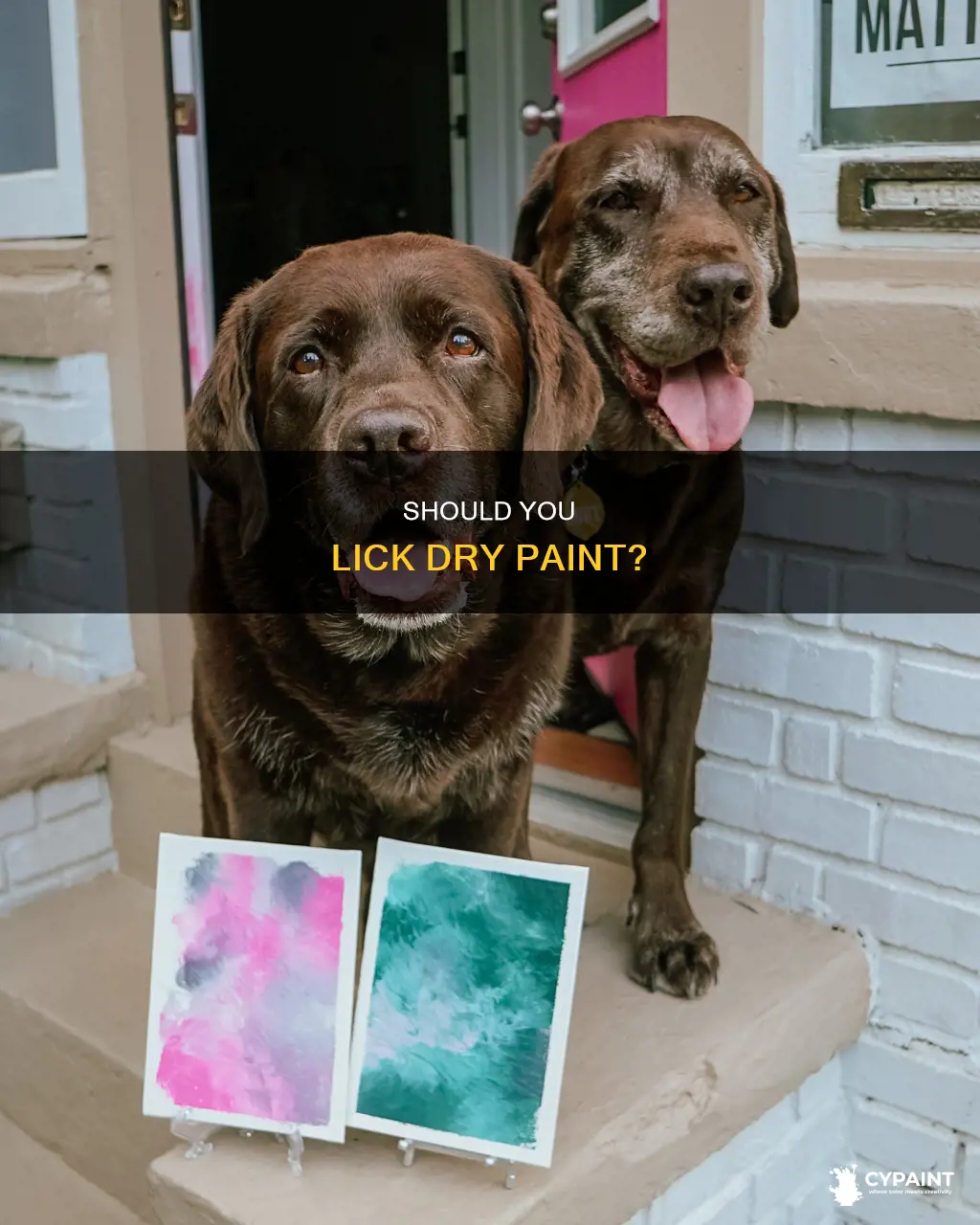 is it okay to lick non toxic dry paint
