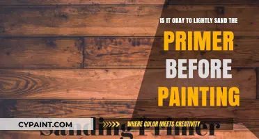 Primer Prep: The Gentle Sanding Debate Before Painting