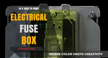 Painting Your Electrical Fuse Box: Safe Practice or Risky Move?