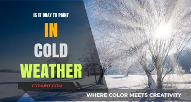 Painting in Cold Weather: Tips and Tricks for a Flawless Finish