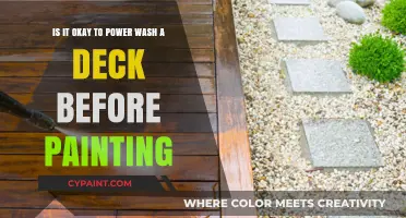 Prepping Your Deck: Power Washing Before Painting - Yay or Nay?