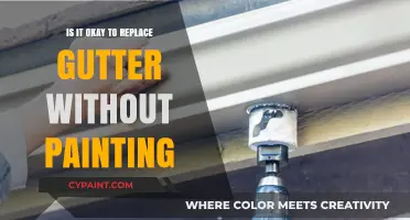 Replacing Gutters Without Painting: Aesthetic Choice or Maintenance Mistake?
