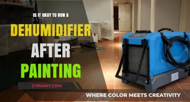 Dehumidifier Use After Painting: Good or Bad Idea?